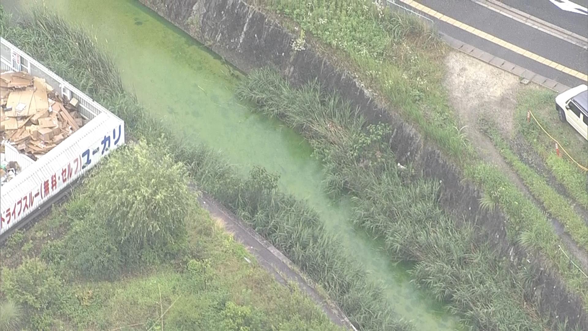 速報】川が鮮やかな「蛍光色の緑色」毒性なしを確認 赤い粉の痕跡、水