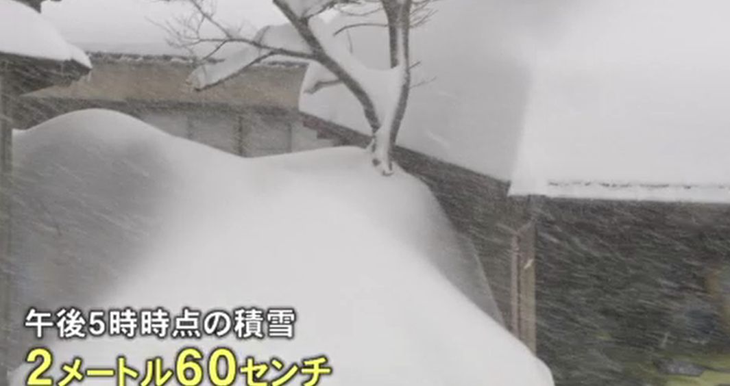 積雪2メートル60センチ」石川県の豪雪地帯・白山市白峰地区の住民は春