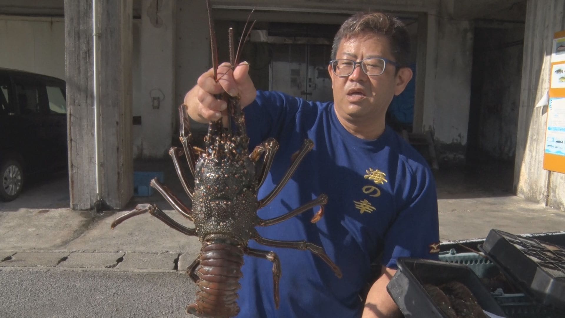 セミエビ」に1キロ2万円の高値！県内のイセエビ漁が1日解禁 宮古島の