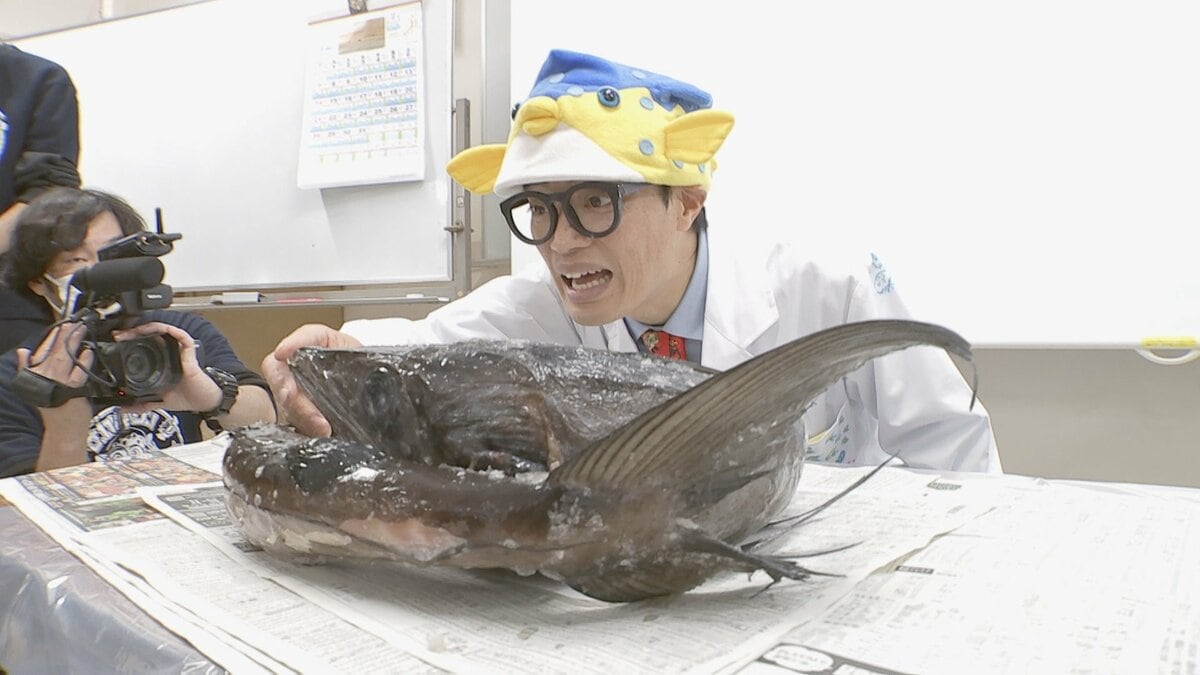 なんでも丸呑み深海魚・ミズウオ さかなクンと小学生の探究隊が解剖 出