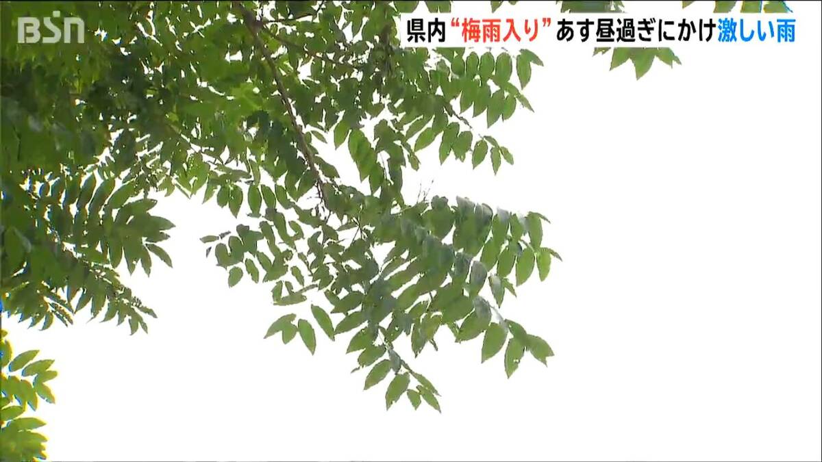 サムネイル_北陸地方が”梅雨入り” 新潟県は21日昼過ぎにかけ激しく雨の所も