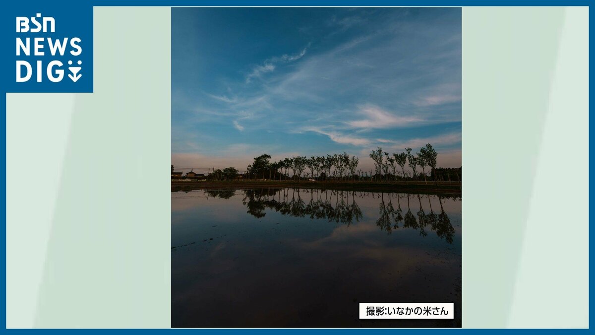 サムネイル_美しい空を撮るなら“マジックアワー” 早朝や夕暮れ時が特に美しい『夏井のハザ木』新潟市西蒲区
