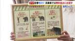【ツキノワグマ対策会議】いまが繁殖期…例年並み出没する可能性 兵庫では目撃痕跡149件 専門家「手を振りながら後ずさりするのが一応鉄則」|TBS NEWS DIG