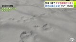 「クマの足跡」例年より1か月ほど早く雪山に… 爪の形が“くっきり”岩木山麓に 親子か 発見したガイド歴30年の男性もこの時期に見つけるのは初めて「えさを求めてうろついている感じ…警戒しながら帰ってきた」 散策ツアーは中止に|TBS NEWS DIG