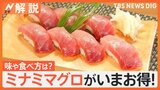 高級魚「ミナミマグロ」が去年より約2割安い! 甘み強く味が濃い“赤いダイヤ”は炙りや漬け丼で美味しく食べよう【Nスタ解説】|TBS NEWS DIG