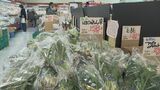 「三軒はしごで野菜買う…」 寒さ緩んで野菜の価格どうなった?ホウレンソウは狙い目 一方キャベツやネギはまだ高値|TBS NEWS DIG