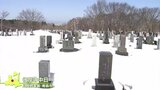 彼岸の中日 13地点で気温今年最高 青森市では雪かきして墓参り|TBS NEWS DIG