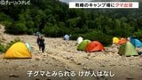 キャンプ場にクマ…テントと食料を持ち去られる被害 子グマとみられ人的被害なし 富山 | 富山のニュース|天気・防災|チューリップテレビ