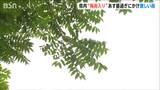 北陸地方が”梅雨入り” 新潟県は21日昼過ぎにかけ激しく雨の所も|TBS NEWS DIG