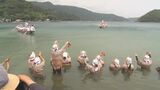500年の伝統 大宜味村塩屋の海人祭「ウンガミ」|TBS NEWS DIG