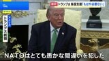 「NATOには深く失望」トランプ大統領　日本などの支援“もはや必要ない”　ホルムズ海峡への艦船派遣めぐり|TBS NEWS DIG