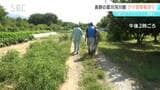 長野市の犀川河川敷でクマの目撃情報相次ぐ 市などが調査 千曲市ではブドウ畑がクマに荒らされる ナガノパープルやシャインマスカットが被害|TBS NEWS DIG