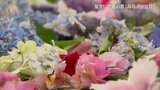 高橋の虫送り 福島・会津美里町【カメラめせん㉜】 | 福島のニュース│TUF