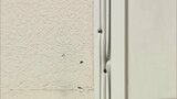 宗教団体の施設に“銃で撃たれたような複数の痕”山上徹也容疑者「施設に向け試し撃ちした」安倍元総理銃撃事件|TBS NEWS DIG