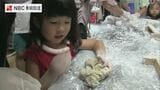 五島列島の特産品かんころ餅づくり体験 | 長崎のニュース | 天気 | NBC長崎放送