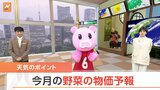 【5月2日 関東の天気】今月の野菜の物価予報|TBS NEWS DIG