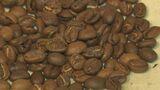 自然災害や異常気象の影響も　コーヒー豆・カカオ豆高騰　専門店は？　|　BSSニュース | BSS山陰放送