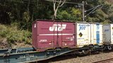 【交通情報】JR山陽線 倒木で一部区間運転見合わせ 山口県・厚狭-小月(13日午前8時40分現在)|TBS NEWS DIG