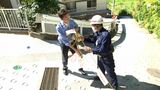 「熱海市は黙りに黙っていた」補助金制度にインフラ整備…土石流警戒区域 2年2か月ぶり解除もぬぐえぬ行政への不信感 | 静岡のニュース | SBSNEWS | 静岡放送