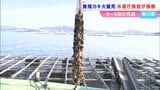 養殖カキの大量死　水産庁の藤田仁司長官らが香川県の産地を視察　「日本周辺の海が変化している」　|　岡山・香川のニュース | 天気 | RSK山陽放送