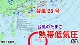 【台風情報】新たな「台風のたまご」熱帯低気圧がカロリン諸島で発生 今後台風に発達する?気象予報士が解説 各地の天気シミュレーション【気象庁発表 13日午後8時更新】|TBS NEWS DIG