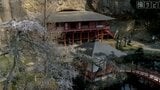 【映像企画・撮りどき】平泉・達谷窟毘沙門堂のシダレザクラ/岩手・平泉町|TBS NEWS DIG