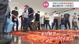 過去最高の海面水温で漁業への影響は?来月解禁のベニズワイガニは?富山湾の8月の水温30.38℃|TBS NEWS DIG