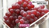 種なしブドウ「デラウェア」の初競りを前に　川南町で品質を確認する「目ぞろえ」　|　MRTニュース ｜ ＭＲＴ宮崎放送