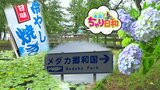 国道7号環状道路沿いにある【メダカ郷和国】ってどんな国!?アジサイの見頃スポットを駆け抜けたどり着いた不思議な場所~青森県で自転車の旅~|TBS NEWS DIG