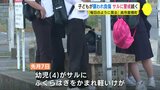 子どもがサルに襲われけが　「毎日のように見る」警戒続く　広島･呉市倉橋町　|　RCC NEWS | 広島ニュース | RCC中国放送