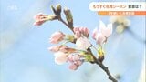 「花見の宴会」大分市で解禁 アルコール類の持ち込み、バーベキューもOK | 大分のニュース|OBS NEWS|大分放送