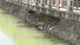 台風１０号の大雨で地盤緩む 土砂災害に十分注意を 　松山城の堀で歩道下の石積みが崩れる|TBS NEWS DIG
