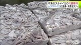 不漁続く「スルメイカ」の代替として注目の「ムラサキイカ」　流通・消費拡大について考えようと漁業関係者などが意見交わす「アピールしていきたいと市場としても思っています」　青森県八戸市　|　青森のニュース│ATV NEWS│青森テレビ