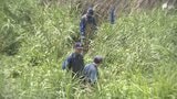 「犯人がはまって動けなくなっている」銅管を盗もうとした疑いで逮捕された自称・解体工の男 川に逃げ込み泥にはまって確保される=静岡|TBS NEWS DIG
