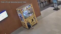 男の子、クレーンゲームに閉じ込められる　米オハイオ| TBS CROSS DIG with Bloomberg