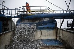 ペルー、アンチョビー禁漁を延長－海水温上昇でエルニーニョ懸念| TBS CROSS DIG with Bloomberg