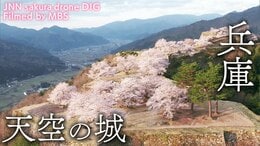 天空の城 兵庫県朝来市 【JNN sakuraドローンDIG】|TBS NEWS DIG