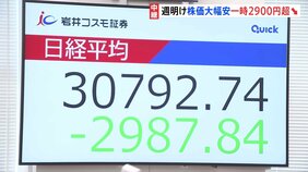 「リーマンショック級」“世界同時株安”日経平均株価が一時2900円超の大幅下落　終値は3万1136円　過去3番目の下げ幅「報復関税エスカレートで3万円台を割り込む可能性も」|TBS NEWS DIG