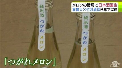メロンから採取した酵母を使った日本酒「つがれメロン」6年の歳月を