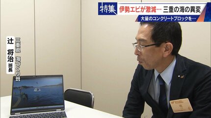 30年コンクリートの塊を沈め続けても止まらない“磯焼け” 三重の海で