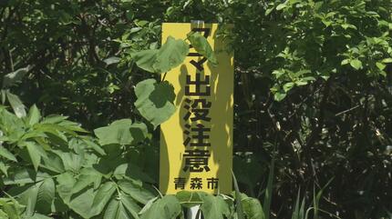 速報・追記あり】クマのそばに「人らしきもの」が倒れている 「タケノコ採りにいった友人が戻ってこない」という通報で捜索 青森県八甲田 【随時更新】 |  青森のニュース│ATV NEWS│青森テレビ (1ページ)
