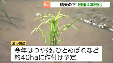 おいしいコメを届けたい」5月に入り田植え本格化！燃料費高騰などを