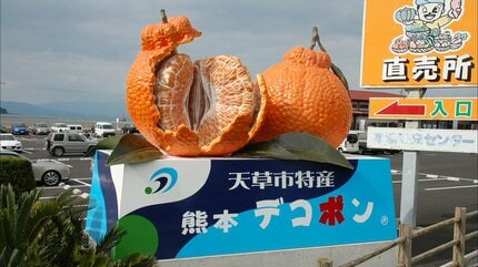 日本最大級！「高さ3.5mのトラフグ」登場 実は熊本県天草市にたくさん