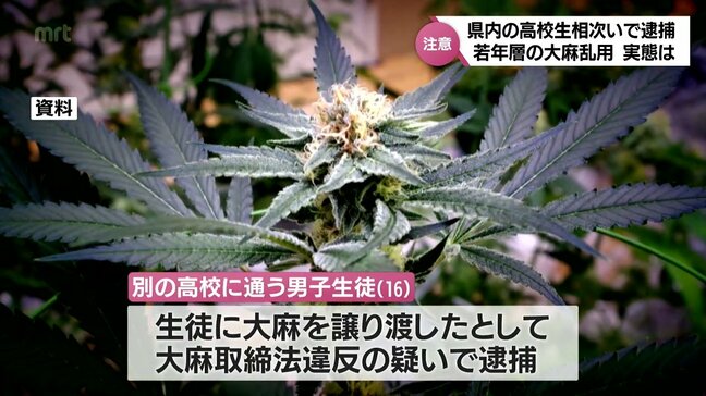 宮崎県内で高校生が相次いで逮捕　若年層の大麻乱用　実態は|TBS NEWS DIG