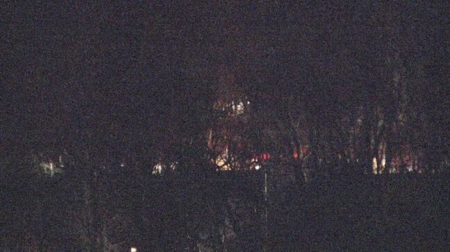 栃木・日光市足尾町の山林火災は発生から約8時間で鎮火　原因は「倒木の電線への接触」|TBS NEWS DIG