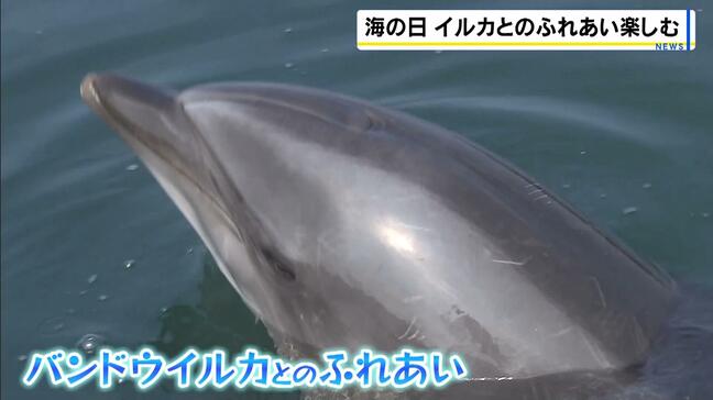 目の前でイルカが豪快にジャンプ！ふれあい体験も「つるつるしててトマトみたい」海の日に家族連れでにぎわう　兵庫・淡路島|TBS NEWS DIG
