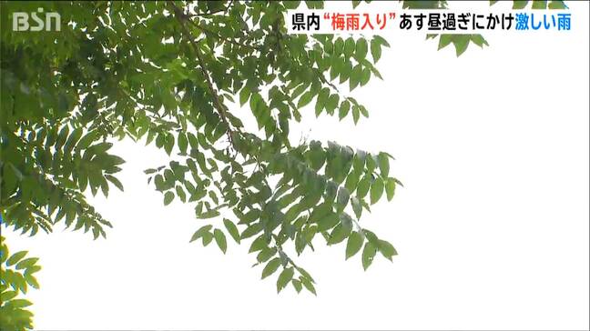 北陸地方が”梅雨入り” 新潟県は21日昼過ぎにかけ激しく雨の所も|TBS NEWS DIG