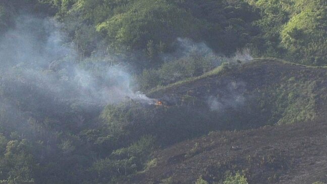 米軍キャンプ・ハンセンで2日連続山火事 実弾射撃訓練で 今年すでに6件|TBS NEWS DIG