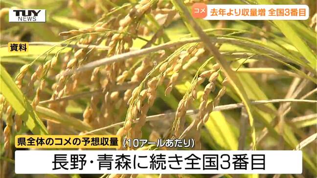 10アールあたりのコメの予想収量 全国3番目の585キロ(山形)|TBS NEWS DIG