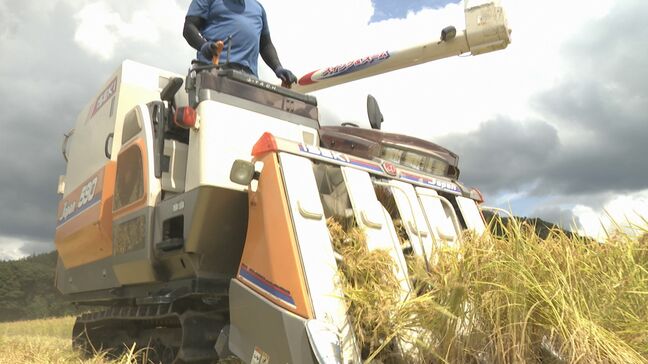 コメ概算金　去年の6割増　JA支払い開始　農家の経営安定と安定供給へ|TBS NEWS DIG